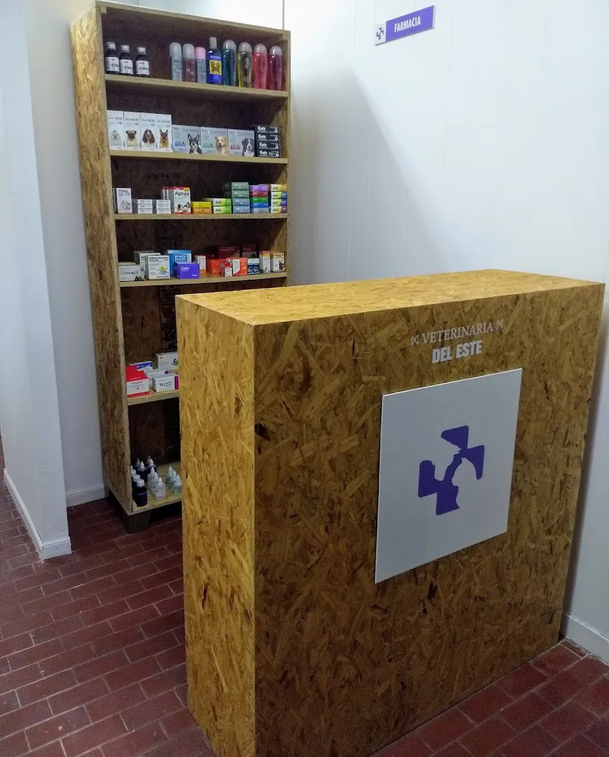 El mostrador de madera con la cruz violeta y la farmacia atrás