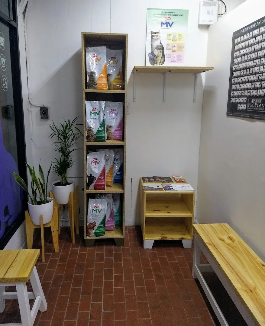 La sala de espera, con bancos de madera, plantas y estantes de alimento